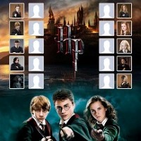 Harry Potter Match & Match